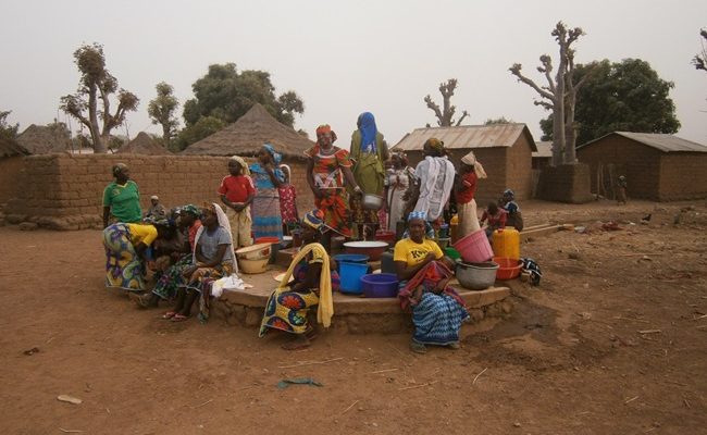 Conseil pour la formulation et la planification de projets, sondages