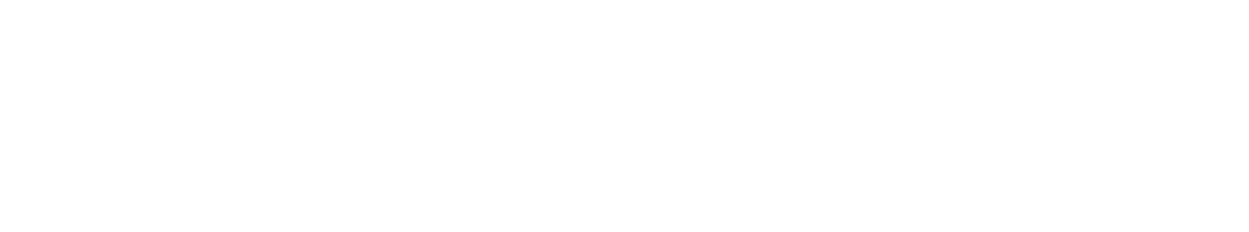footer-logo
